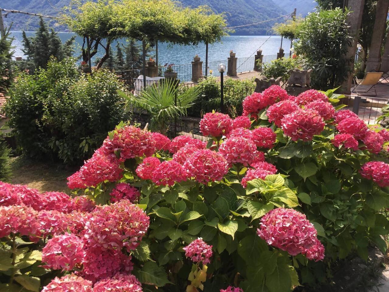 Villa Peroni Honeymoon Cottage Ардженьо Екстериор снимка